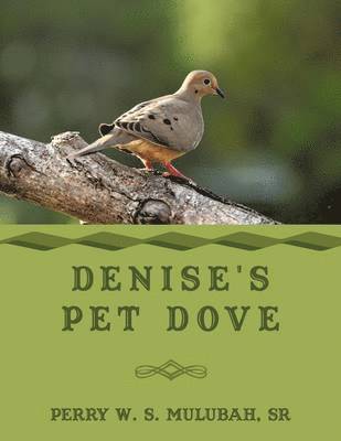 Denise's Pet Dove 1