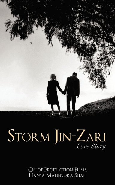 bokomslag Storm Jin-Zari