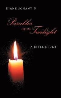 bokomslag Parables from Twilight