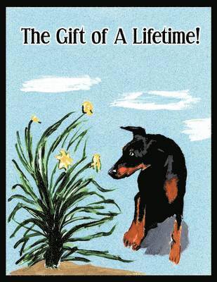 The Gift of a Lifetime 1