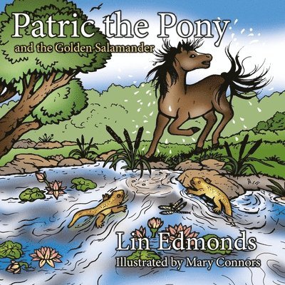 Patric the Pony and the Golden Salamander 1