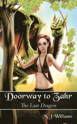 M J Williams, M. J. Williams - Doorway to Zahr, Häftad