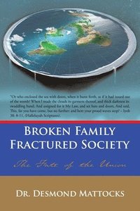 bokomslag Broken Family-Fractured Society