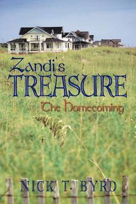bokomslag Zandi's Treasure