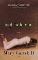 bokomslag Bad Behavior