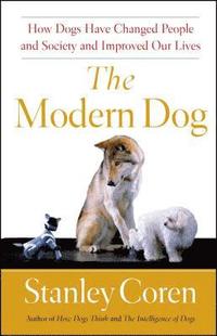 bokomslag The Modern Dog