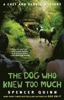 bokomslag The Dog Who Knew Too Much: A Chet and Bernie Mystery