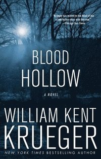 bokomslag Blood Hollow