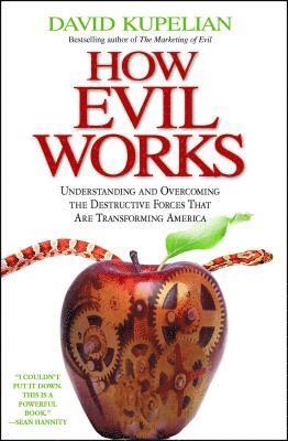 bokomslag How Evil Works