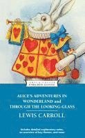 bokomslag Alice's Adventures In Wonderland And Through The Looking-Glass