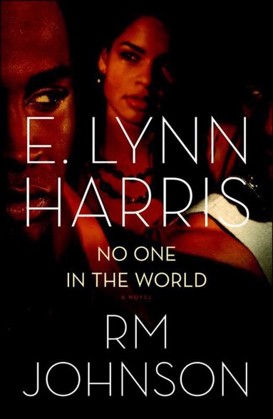 E. Lynn Harris - No One In The World, Häftad