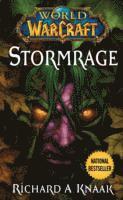 Richard A. Knaak - World of Warcraft: Stormrage, Häftad