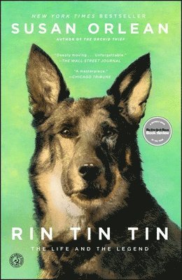 bokomslag Rin Tin Tin: The Life and the Legend