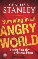 bokomslag Surviving in an Angry World: Finding Your Way to Personal Peace