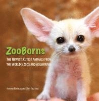 Zooborns 1