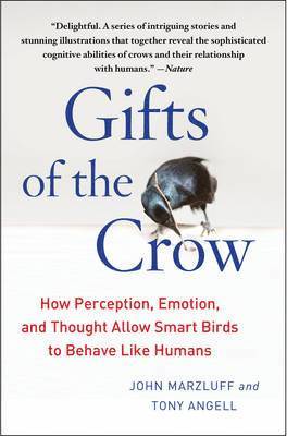 Gifts of the Crow 1