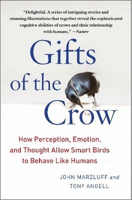 Gifts of the Crow 1