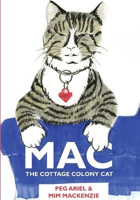 Mac: The Cottage Colony Cat 1
