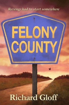 bokomslag Felony County