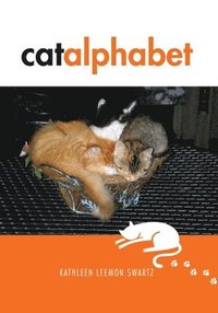 bokomslag Catalphabet