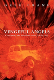bokomslag Vengeful Angels