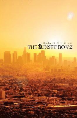 bokomslag The $unset Boyz