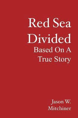 bokomslag Red Sea Divided: Based On A True Story