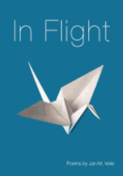 In Flight 1