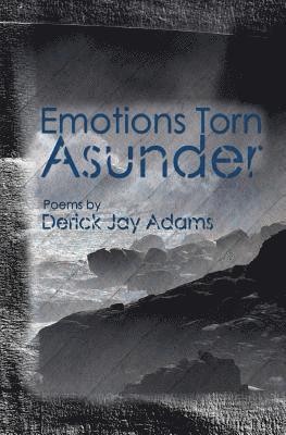 bokomslag Emotions Torn Asunder