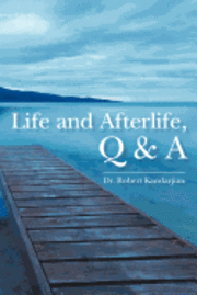 bokomslag Life and Afterlife, Q & A