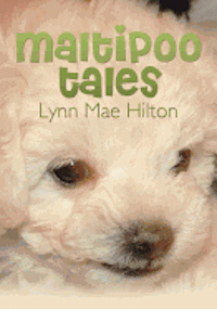 bokomslag Maltipoo Tales