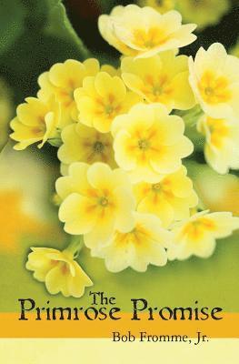 bokomslag The Primrose Promise