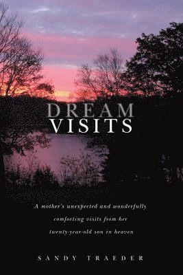 Dream Visits: A mother's unexpected and wonderfully comforting visits from her twenty-year-old son in heaven 1