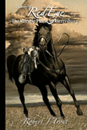 bokomslag The Story of Red Eye: The Miracle Horse of Gettysburg