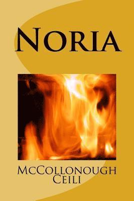 bokomslag Noria: A Collection of True Stories and Legends From Noria