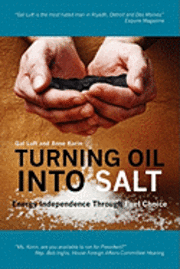bokomslag Turning Oil Into Salt