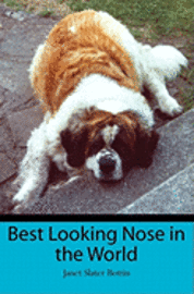 bokomslag Best Looking Nose in the World
