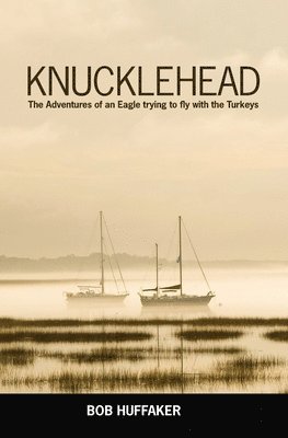 Knucklehead: The Adventures of an Eagle trying to fly with the Turkeys 1