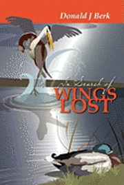bokomslag In Search of Wings Lost
