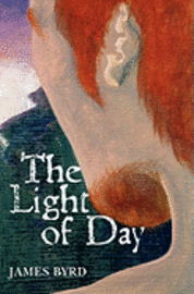 bokomslag The Light of Day