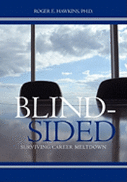 Blindsided: Surviving Career Meltdown 1