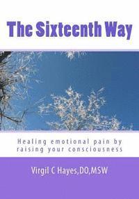 bokomslag The Sixteenth Way: Healing Emotional Pain By Raising Your Consciousness