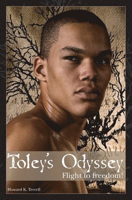 Toley's Odyssey: Flight to Freedom 1