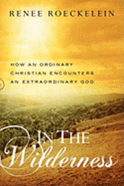 bokomslag In The Wilderness: How An Ordinary Christian Encounters an Extraordinary God