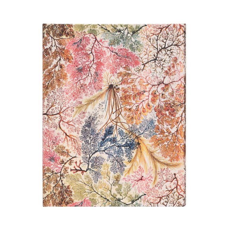 Anteckningsbok Paperblanks Flexi Ultra - Anemone, Övrigt