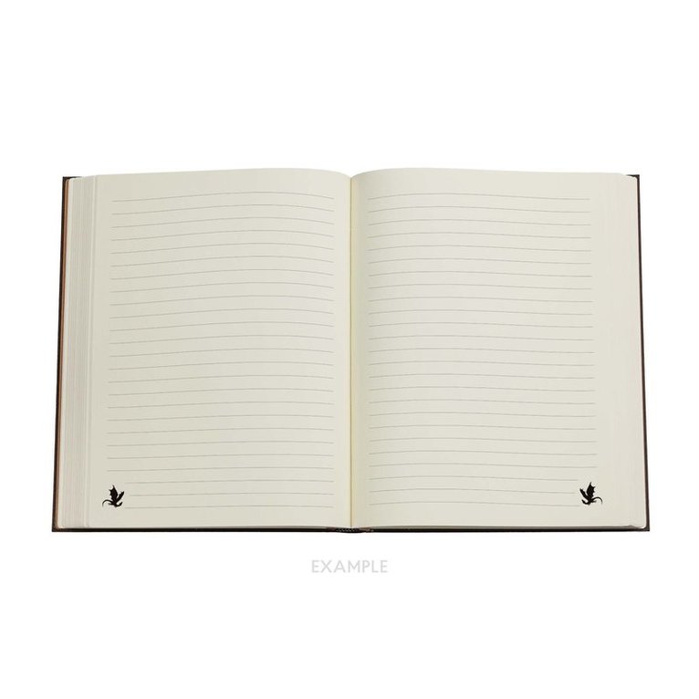 Anteckningsbok Paperblanks Ultra linjerad - Fourth Wing Shadows of Navarre, Inbunden