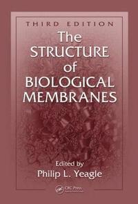 bokomslag The Structure of Biological Membranes
