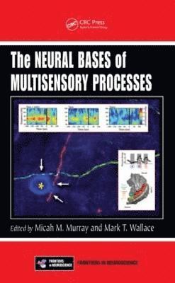 Micah M. Murray, Mark T. Wallace - Neural Bases of Multisensory Processes, Inbunden
