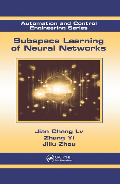 bokomslag Subspace Learning of Neural Networks