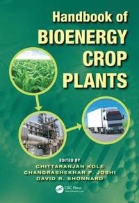 bokomslag Handbook of Bioenergy Crop Plants